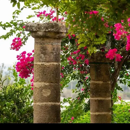 Tenuta Belvedere - Relais De Charme Lejlighed Alezio